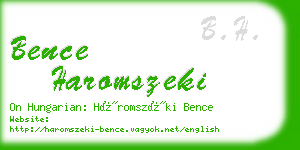 bence haromszeki business card